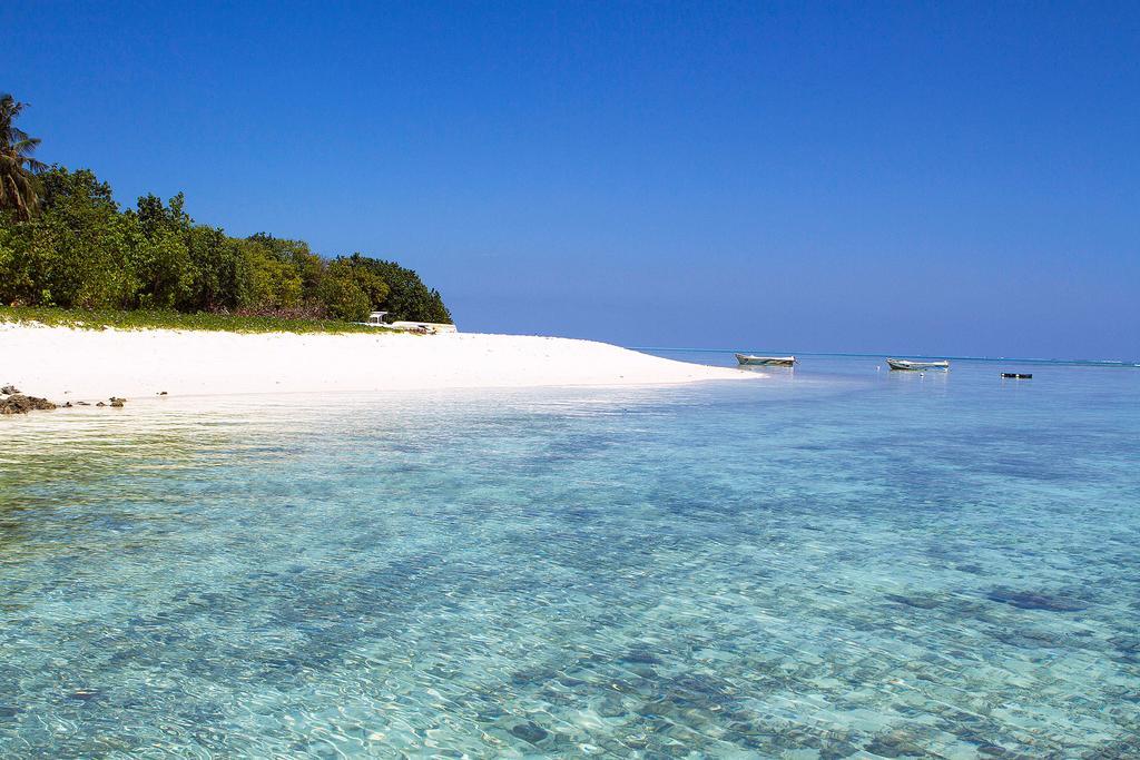 Tropic Tree Maldives Hotel Gulhi Exterior foto