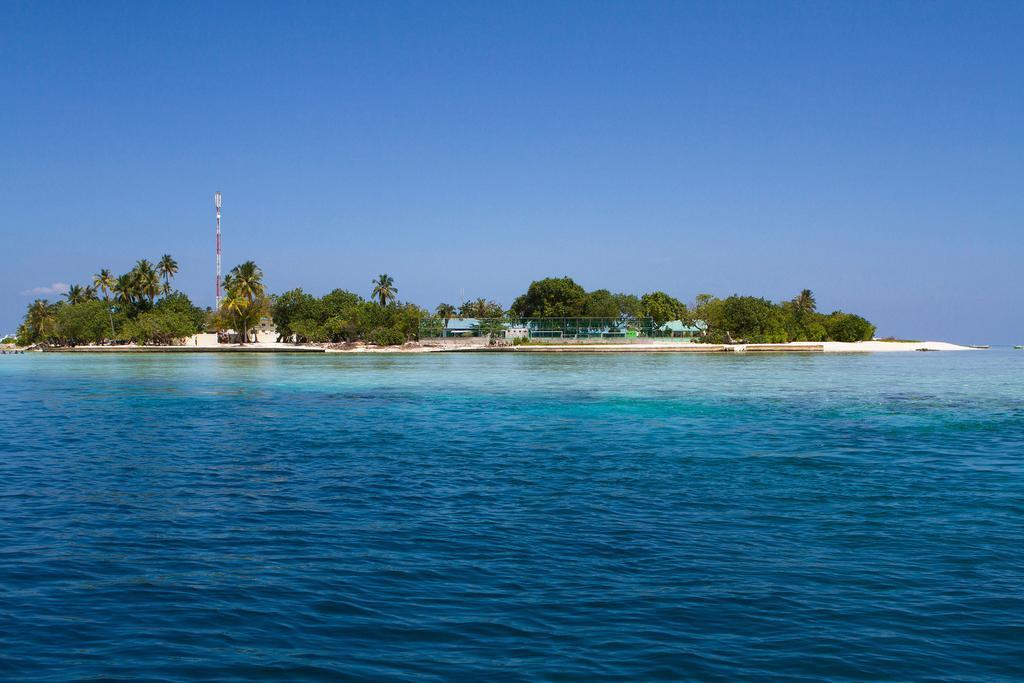 Tropic Tree Maldives Hotel Gulhi Exterior foto